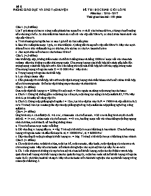 Đề thi học sinh giỏi môn Vật lý Lớp 8 - Đề 8 - Năm học 2016-2017 (Có đáp án)